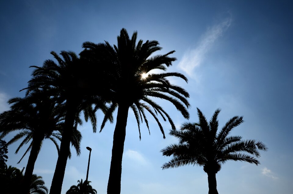 Barcelona against the light spain