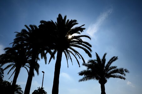 Barcelona against the light spain photo