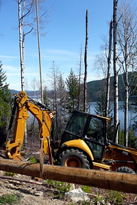 Backhoe timber woods