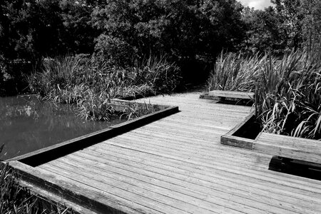 River outdoor walkway photo