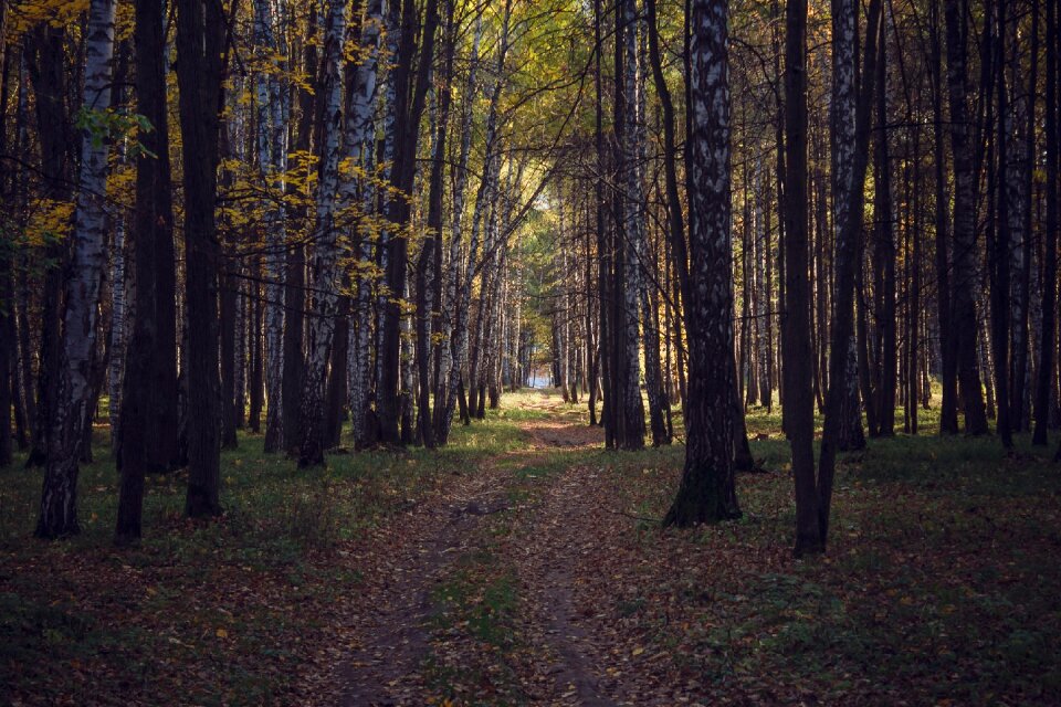 Autumn sheet park
