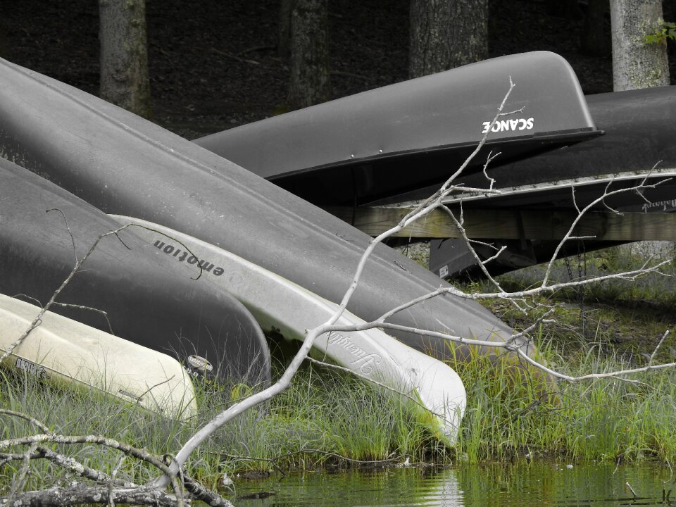 Lake summer canoeing