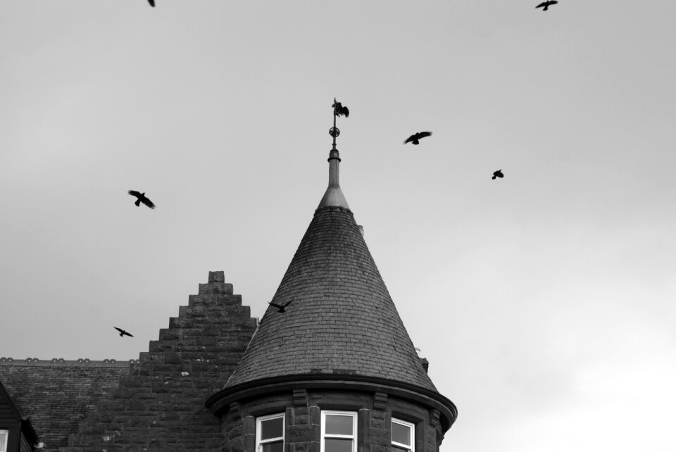 Black old halloween