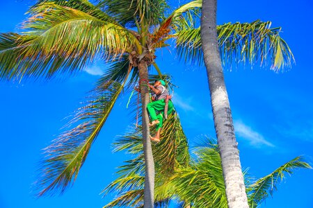 Work tropics spider-man
