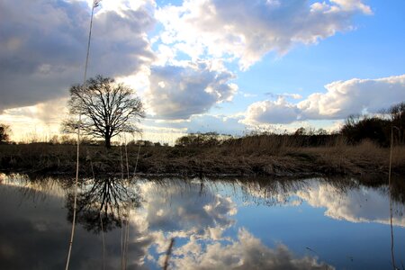 Landscape lake mirroring photo