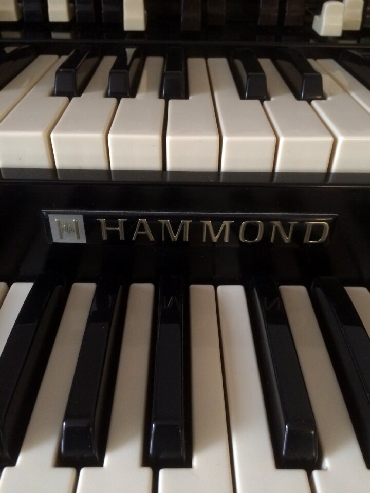 Hammond organ keys