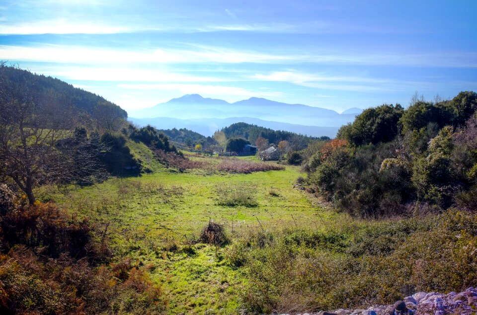 Landscape wilderness trees