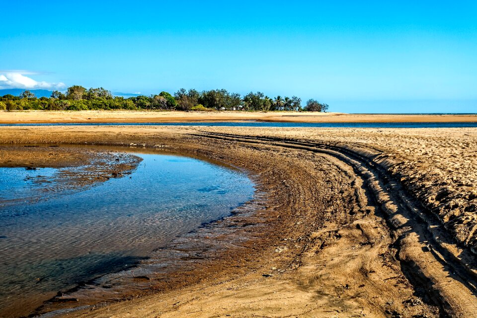 Saunders beach mangrove area