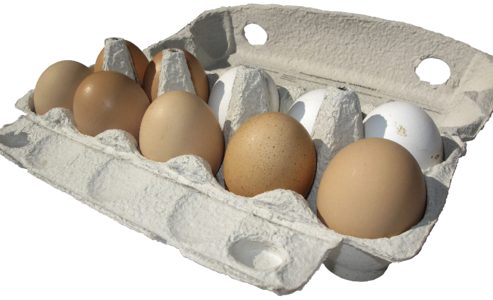 Lots of eggs egg packaging brown eggs photo