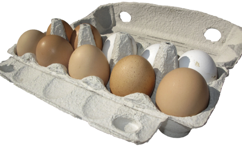 Lots of eggs egg packaging brown eggs
