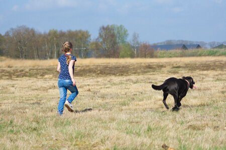 Dog zoogdieren hond photo