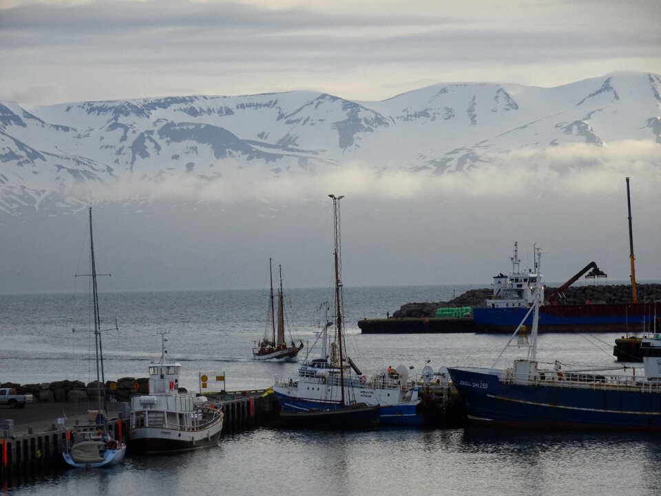 Bay boats
