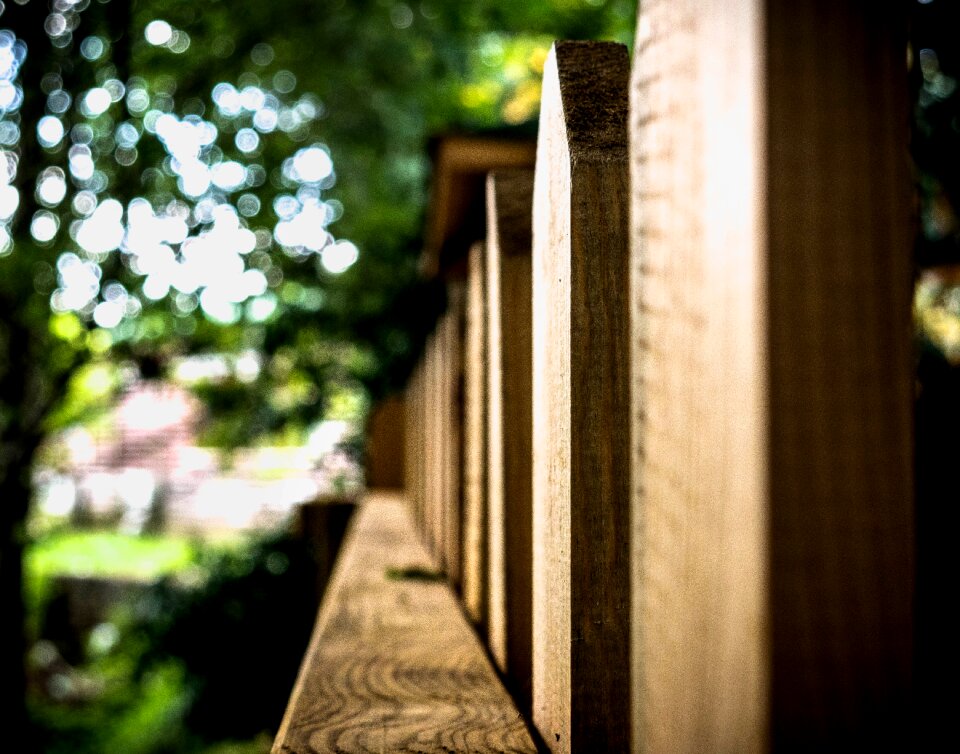 Photo background close-up