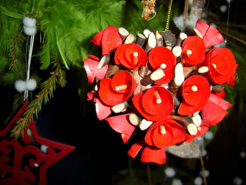Red christmas fir