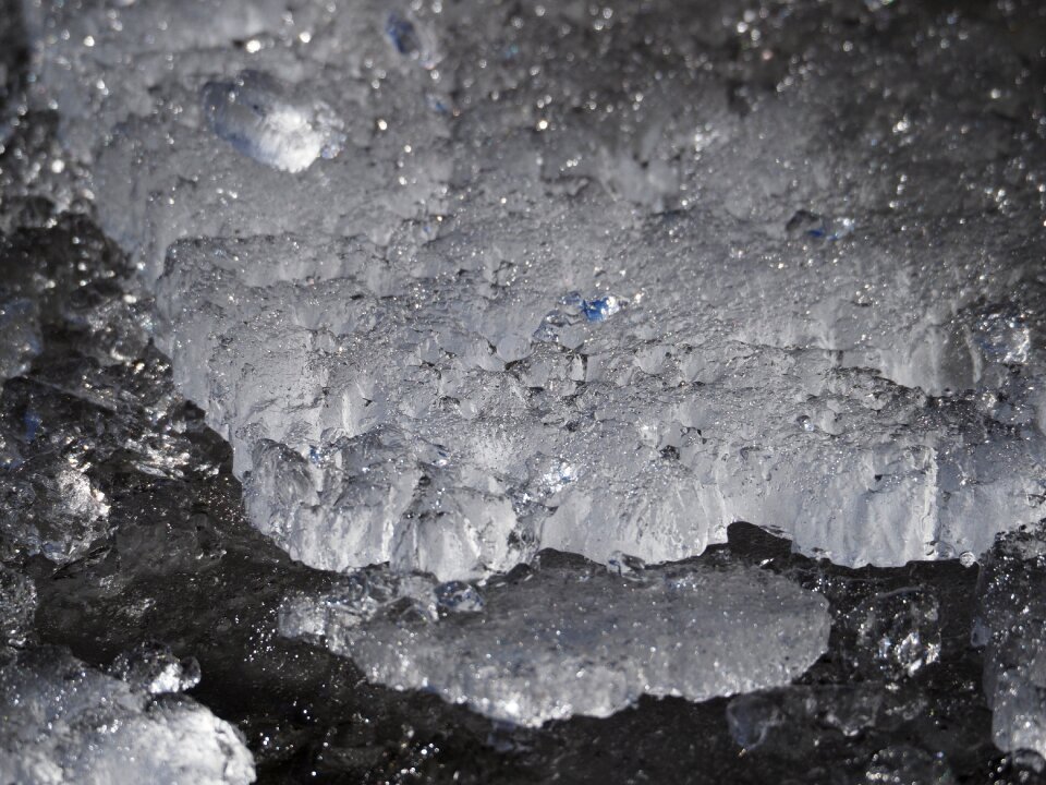 Winter sparkle frozen