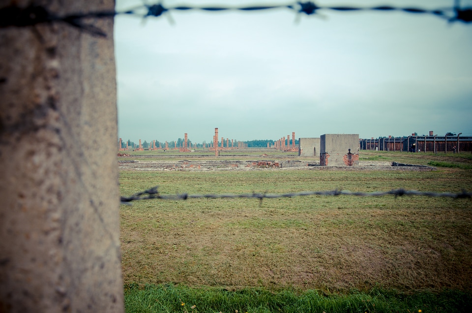Barbwire fence concentration