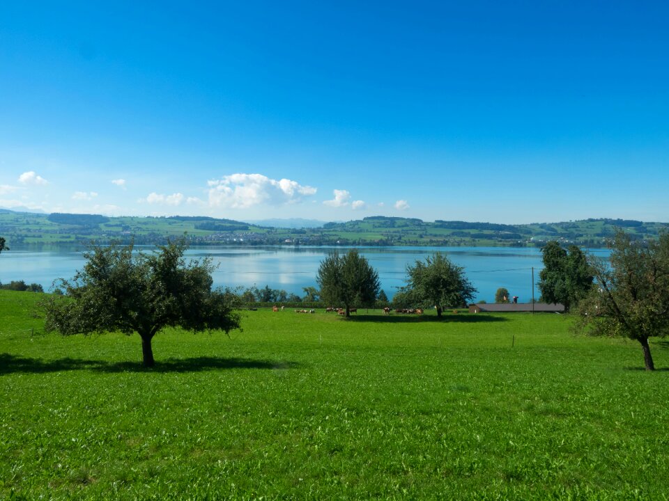 Switzerland lake sempach