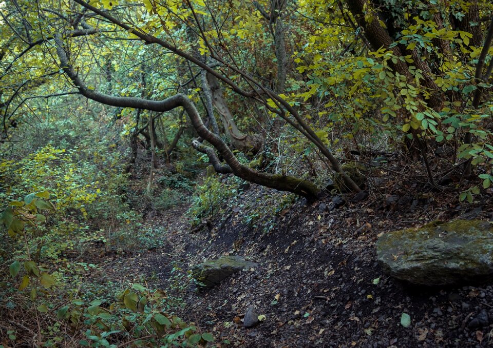 Yellow green creepy