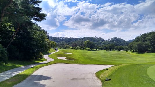 Golf course field sky