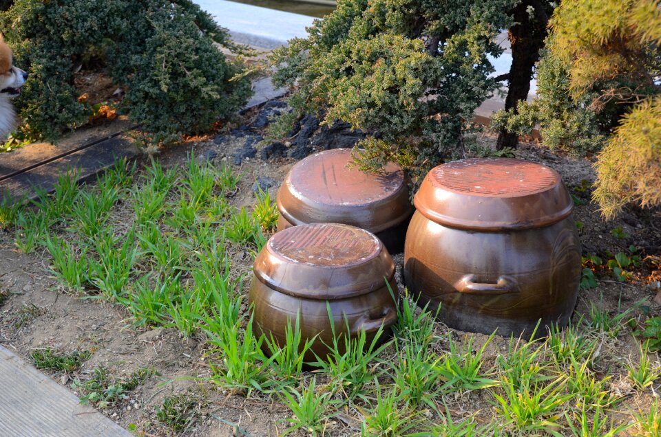 Korea co ltd namsan hanok village