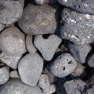 Heart heart-shaped grey