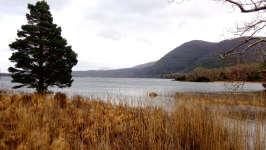 Muckross lake ireland wanderlust