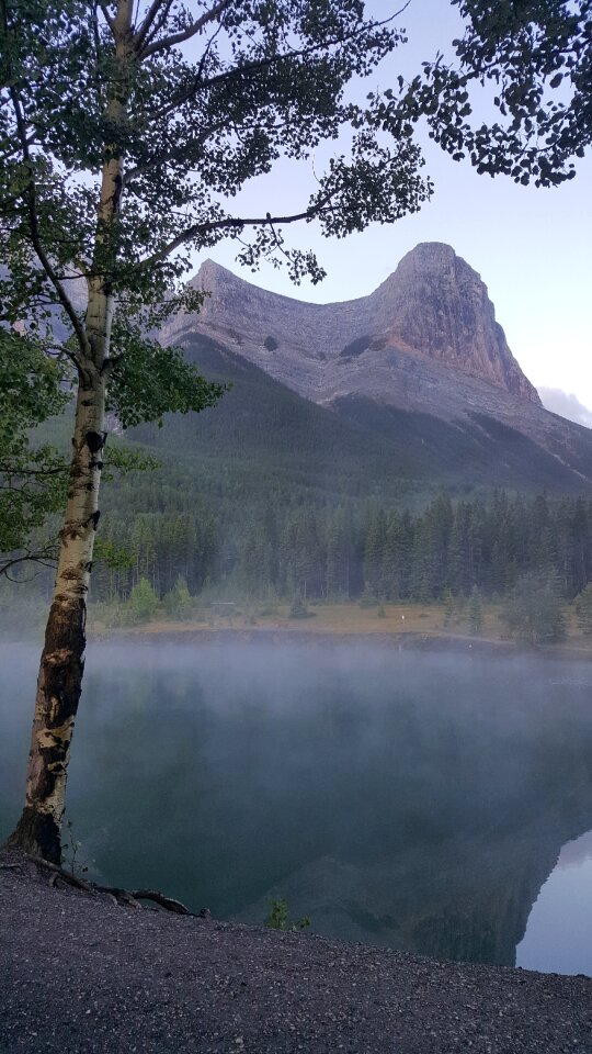 Mist hiking forest