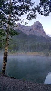 Mist hiking forest