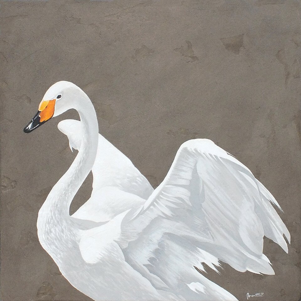 Bird white water