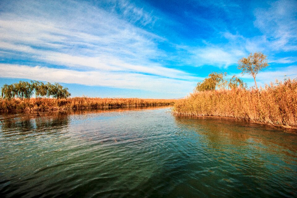 Clear water grass autumn
