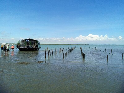 Outside the umbrella top chau wetlands sandbar photo