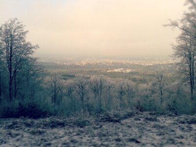 Snow frost walk