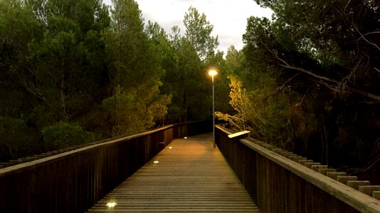 Bridge autumn loneliness