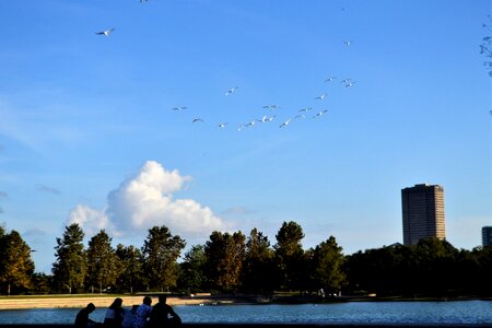 Lake houston texas photo