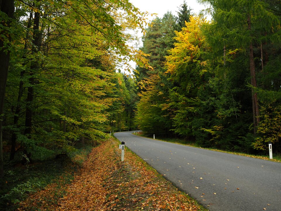 Asphalt long gone straight