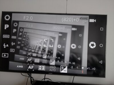 Screen camera mirror
