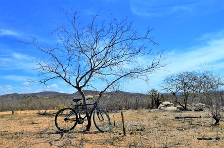 Cariri bike transport