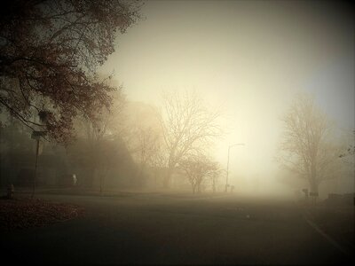 Misty mist photo