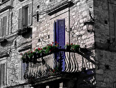 Balcony flowers building