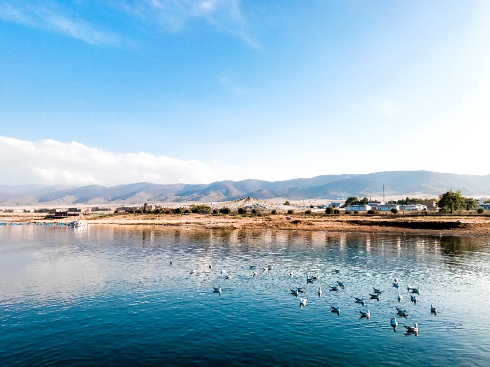 Mountains and rivers water birds duck