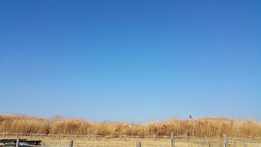 Sky blue sky sky park