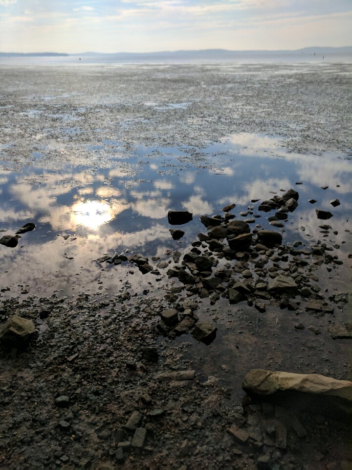 Maryland summer coastline