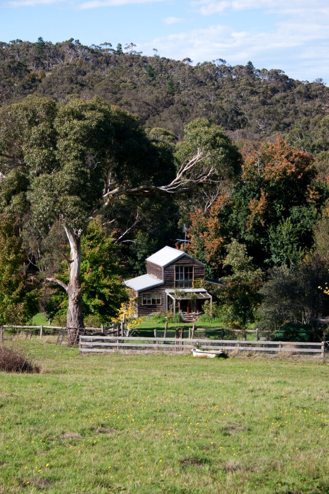 Victoria meadow