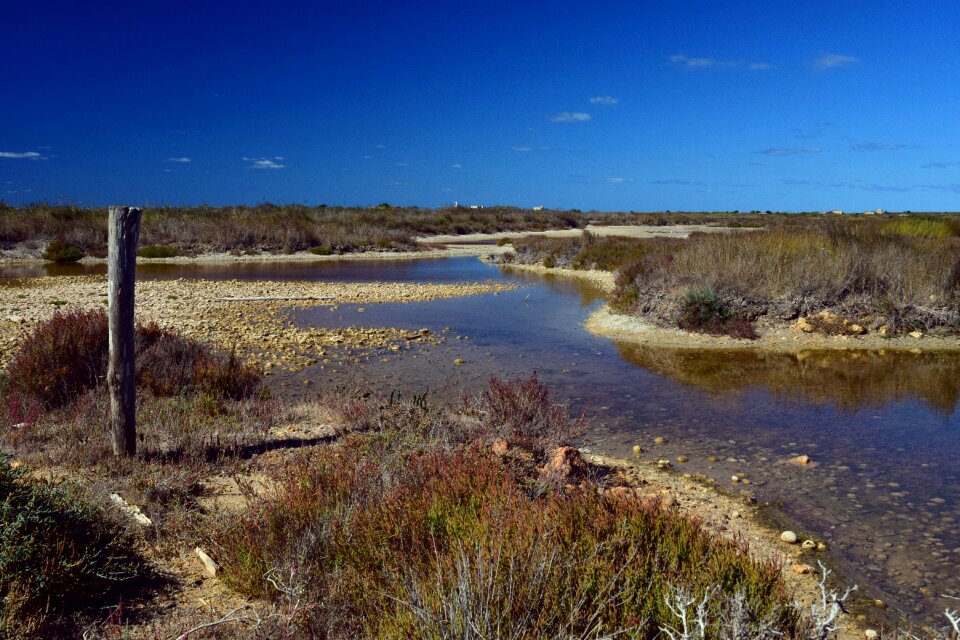 Water nature reserve capo feto