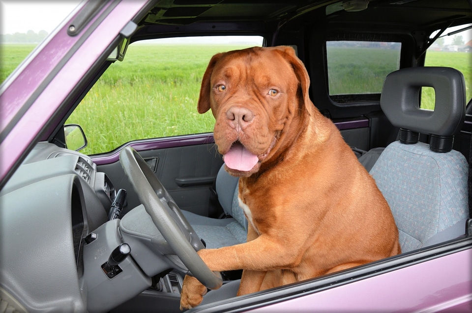 Car driving steering