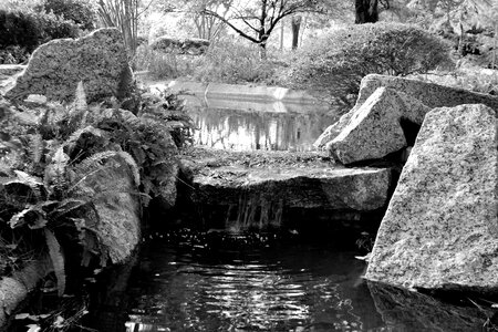 Wilderness houston texas outdoor