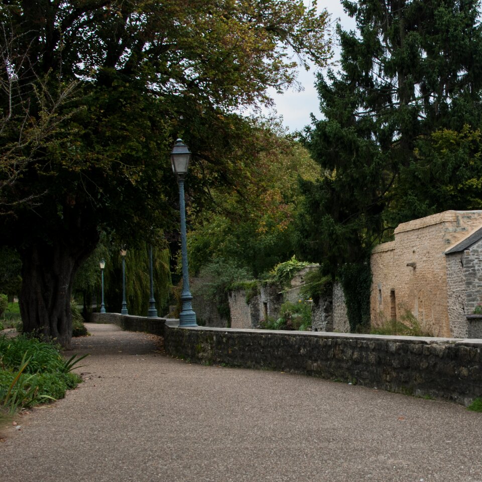 Path allee garden