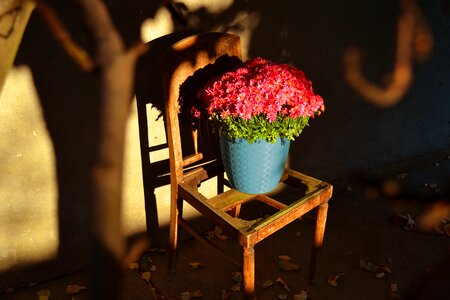 Nature floral green
