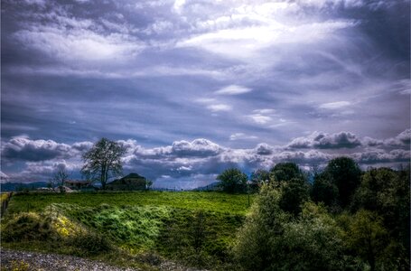 Trees landscape loneliness photo