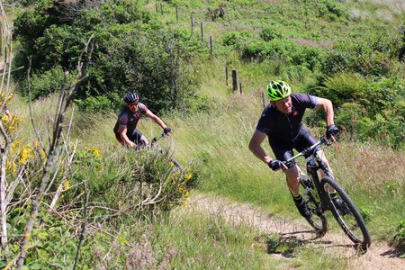 Active training landscape